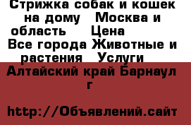 Стрижка собак и кошек на дому.  Москва и область.  › Цена ­ 1 200 - Все города Животные и растения » Услуги   . Алтайский край,Барнаул г.